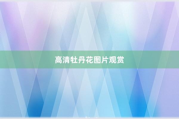 高清牡丹花图片观赏