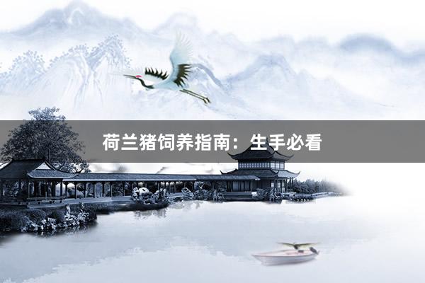 荷兰猪饲养指南：生手必看